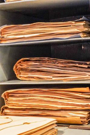Folders of specimens 1500px DSC00188.png